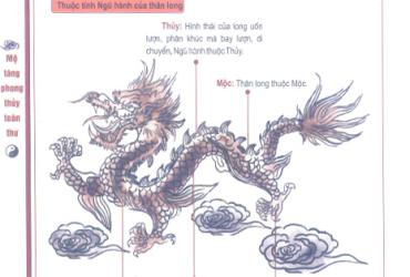 Ngũ Hành Của Long: Bí Ẩn Phong Thủy Âm Trạch Trong Văn Hóa Đông Phương