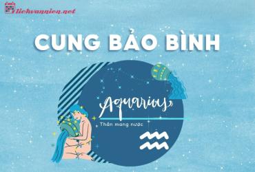 Giải mã tính cách Cung Bảo Bình qua 4 nhóm máu: Khi lý trí gặp gỡ bản năng sinh học