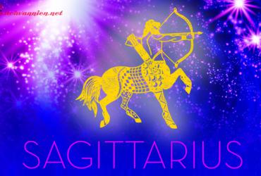 Phong cách giao tiếp cung Nhân Mã: Khi sự thật quan trọng hơn sự khéo léo