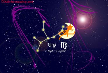 Xử Nữ nhóm máu O: Sự kết hợp độc đáo giữa Cầu toàn và Bản lĩnh dẫn đầu