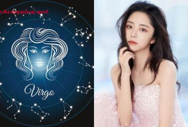 Xử Nữ nhóm máu B: Giải mã nghịch lý tính cách thú vị nhất vòng tròn hoàng đạo