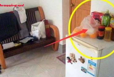 Những Đồ Đại Kỵ Không Nên Đặt Trên Nóc Tủ Lạnh