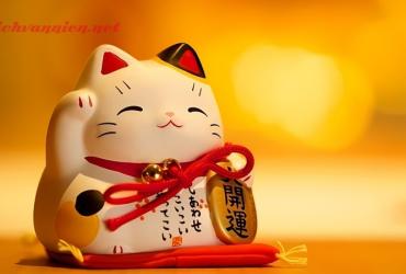 Phong thủy tuổi Mẹo: Bí kíp cân bằng năng lượng, hút vận may!