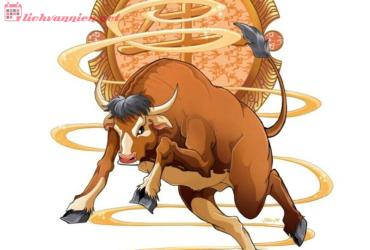 Người tuổi Sửu cần biết gì về phong thủy để cải vận?