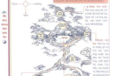 Phong Thủy Âm Trạch: Nghệ Thuật Chọn Huyệt Vị Theo Truyền Thống Việt