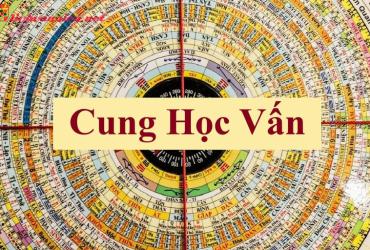 Cách kích hoạt cung Học Vấn trong phong thủy nhà ở giúp tăng trí tuệ và sự nghiệp