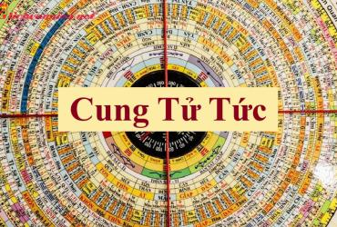 Cung Tử Tức trong phong thủy nhà ở: Cách cải thiện vận may và sự phát triển của con cái
