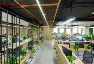 Bí quyết bố trí cây cảnh văn phòng theo phong thủy để đón tài lộc