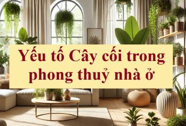 Yếu tố cây xanh trong phong thủy nhà ở - Cân bằng năng lượng và tài lộc