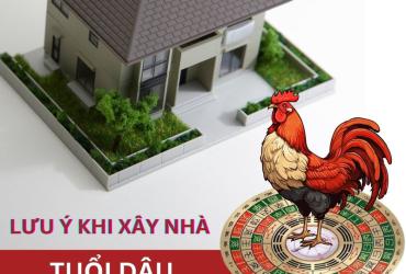 Bí Quyết Phong Thủy Nhà Ở Tuổi Dậu Thu Hút Tài Lộc Và An Khang