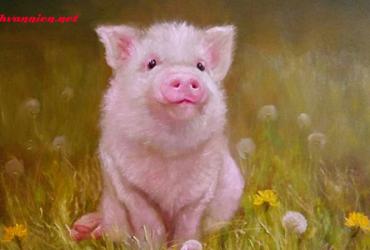 Phong Thủy Nhà Ở Tuổi Hợi - Hướng Dẫn Chi Tiết Để Gia Tăng Vượng Khí