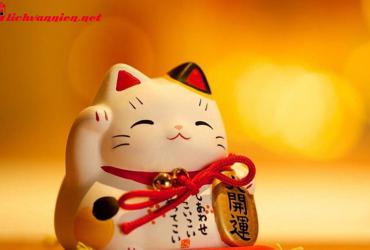 Bí Quyết Phong Thủy Nhà Ở Tuổi Mẹo - Hài Hòa Với Thiên Nhiên Và Vượng Khí