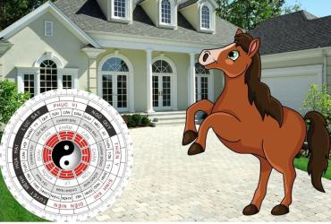 Khám Phá Phong Thủy Nhà Ở Tuổi Ngọ: Hòa Hợp Với Năng Lượng Hỏa