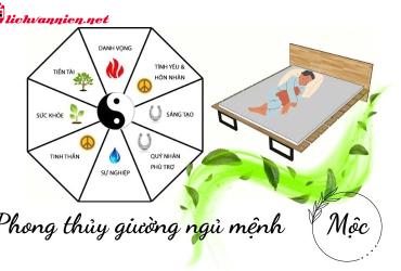 Phong Thủy Phòng Ngủ Theo Mệnh Mộc: Bí Quyết Tạo Không Gian Nghỉ Ngơi Hài Hòa