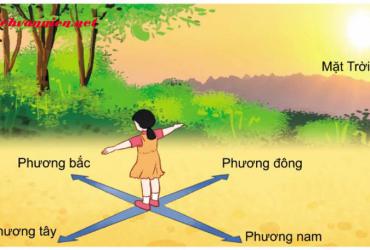 Phục Vị Là Gì? Cách Chọn Nhà Hướng Phục Vị Trong Phong Thủy