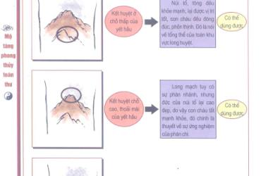 Phương Pháp Kết Yết: Ba Cách Thức Kết Huyệt Trong Phong Thủy Mộ Phần