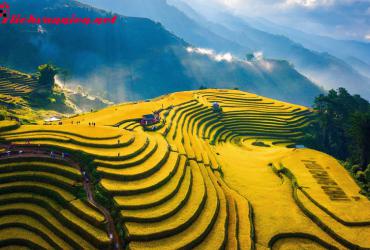 Phương Pháp Tầm Long Điểm Huyệt: Nghệ Thuật Chọn Địa Phong Thủy