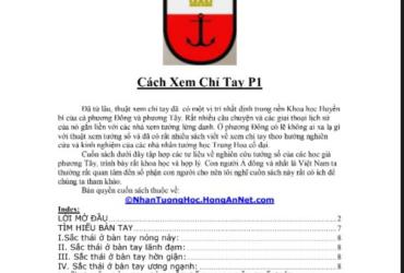 Khám Phá Bí Ẩn Chỉ Tay: "Cách Xem Chỉ Tay Phần 3" Hé Lộ Vận Mệnh, Tình Duyên, Công Danh Qua Bàn Tay