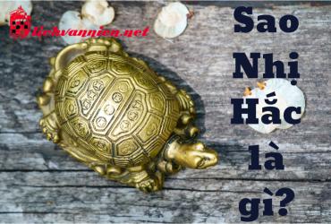 Sao Nhị Hắc Là Gì? Tốt Hay Xấu