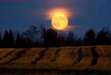 Vai Trò của Mặt Trăng trong Nông Nghiệp