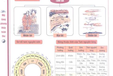 Tam Tài Tương Hợp: Nguyên Lý Cân Bằng Thiên - Địa - Nhân Trong Phong Thủy