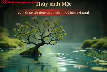 Thủy Sinh Mộc: Sự Hài Hòa Giữa Hai Mệnh Trong Phong Thủy