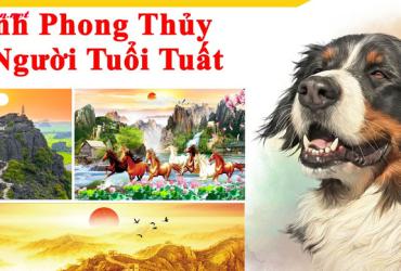 Tranh Phong Thủy Cho Người Tuổi Tuất – Bí Quyết Chọn Tranh Hợp Mệnh Đón Vận May