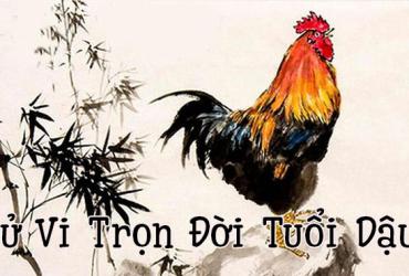 Xem Tử Vi Trọn Đời Người Tuổi Dậu Năm 2017, 2005, 1993, 1981, 1969, 1957 - Nam Mạng, Nữ Mạng