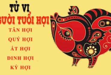 Xem Tử Vi Trọn Đời Người Tuổi Hợi Năm 2019, 2007, 1995, 1983, 1971, 1959 - Nam Mạng, Nữ Mạng