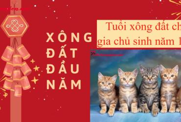 Tuổi Xông Đất Phù Hợp Cho Gia Chủ Sinh Năm 1951