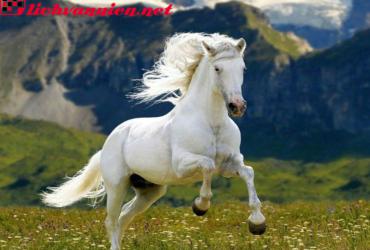 Tuổi Xông Đất Hợp Mệnh Cho Gia Chủ Sinh Năm 1954