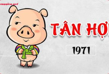 Tuổi Xông Đất Hợp Gia Chủ Sinh Năm 1971 - Bí Quyết Đón Lộc Đầu Xuân