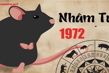 Tuổi Xông Đất Hợp Với Gia Chủ Sinh Năm 1972 - Bí Quyết Chọn Người Mở Hàng Đầu Năm