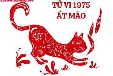 Tuổi Xông Đất Hợp Với Gia Chủ Sinh Năm 1975: Chọn Người Mang Lộc Về Nhà