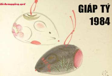 Tuổi Xông Đất Hợp Mệnh Cho Gia Chủ Sinh Năm 1984 Giáp Tý