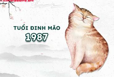Chọn Tuổi Xông Đất Hợp Mệnh Cho Người Sinh Năm 1987 Đón Vạn Lộc