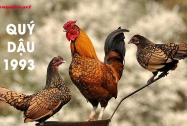 Tuổi Xông Đất Cho Gia Chủ Sinh Năm 1993 - Chn Lựa Khôn Ngoan Đón Vận Mới