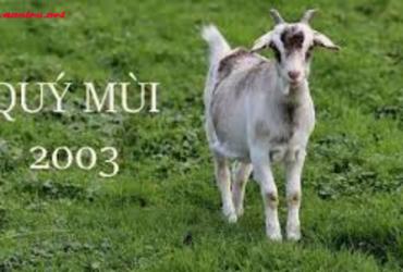 Bí Quyết Chọn Tuổi Xông Đất Phù Hợp Cho Gia Chủ Sinh Năm 2003