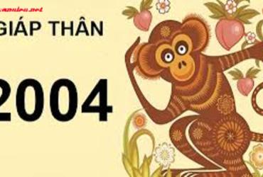 Tuổi Xông Đất Phù Hợp Nhất Cho Gia Chủ Sinh Năm 2004 - Mang Lộc Xuân An Khang