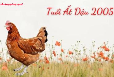 Chọn Tuổi Xông Đất Hợp Mệnh Cho Gia Chủ Sinh Năm 2005