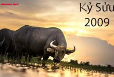 Bí Quyết Chọn Tuổi Xông Đất Hợp Mệnh Cho Gia Chủ Sinh Năm 2009