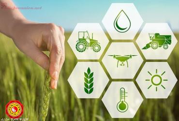 Lịch Vạn Niên: Gieo Trồng Đúng Vụ, Bội Thu Cả Năm!