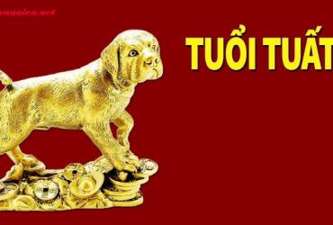 Vật Phẩm Phong Thuỷ Cho Người Tuổi Tuất – Bí Quyết Thu Hút Tài Lộc Và Bình An