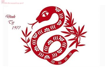 Sinh năm 1977 Đinh Tỵ mệnh gì? Hợp tuổi gì? Hợp hướng nào?