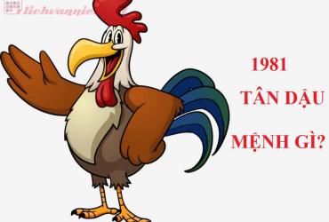 Sinh năm 1981 Tân Dậu mệnh gì? Hợp tuổi gì? Hợp hướng nào?