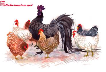 Xông Đất Cho Gia Chủ Tuổi Dậu – Chọn Người Xông Nhà Hợp Mệnh Đón Tài Lộc