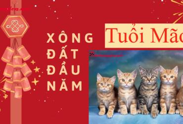 Xông Đất Gia Chủ Tuổi Mẹo - Bí Quyết Đón May Mắn Trọn Vẹn Đầu Năm