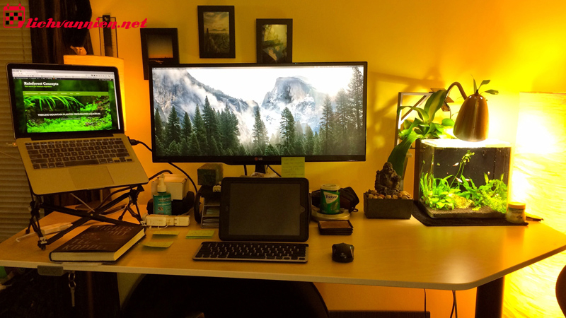 Bố Trí Bàn Làm Việc Ngày Đầu Năm Mới Hút Tài Lộc 2025