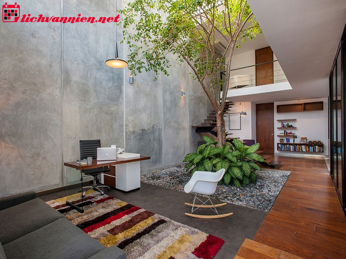 Bố Tr&iacute; Giếng Trời Theo Phong Thủy &ndash; Hướng Dẫn Chi Tiết Cho Ng&ocirc;i Nh&agrave; H&agrave;i H&ograve;a