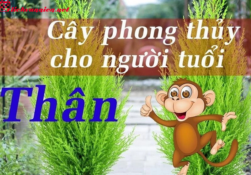 C&acirc;y Phong Thủy Mang Lại T&agrave;i Lộc V&agrave; May Mắn Cho Người Tuổi Th&acirc;n